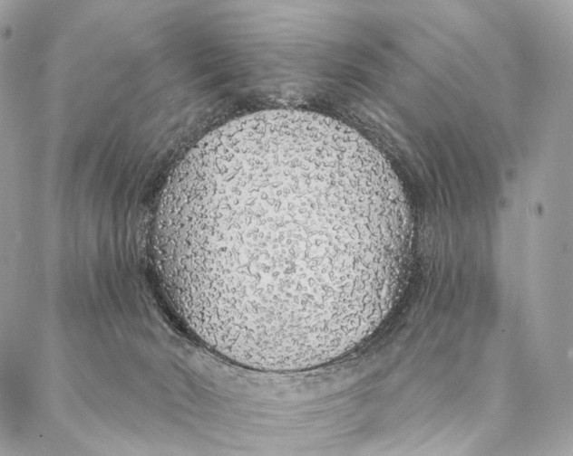 X0000087380030200705111747