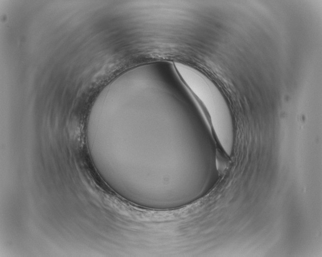 X0000087380031200705111747