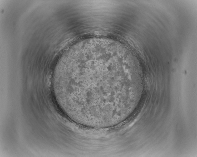 X0000087380032200705111747