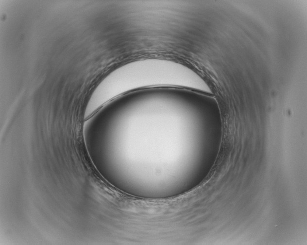 X0000087380033200705111747