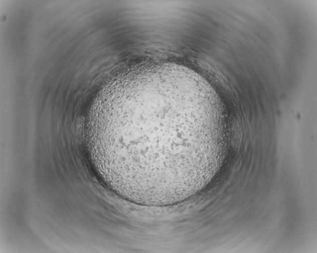 X0000087380034200705111747