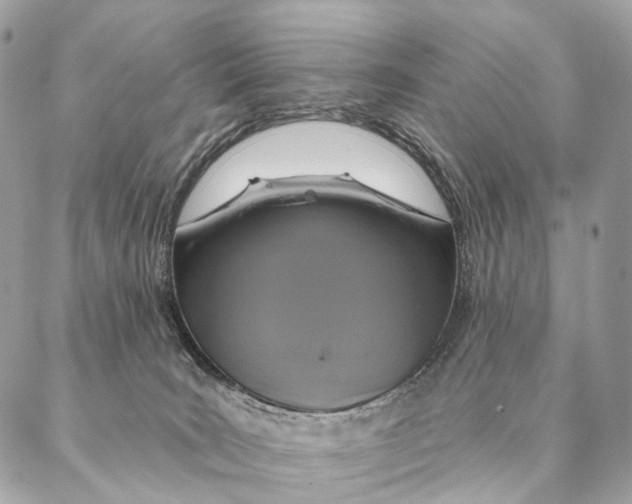 X0000087380035200705111747