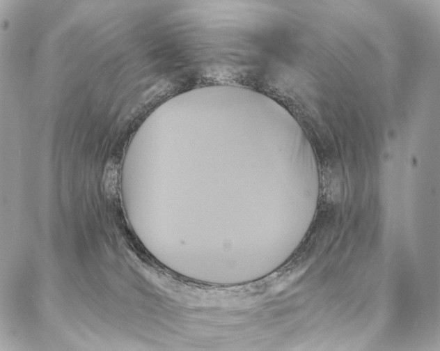 X0000087380036200705111746