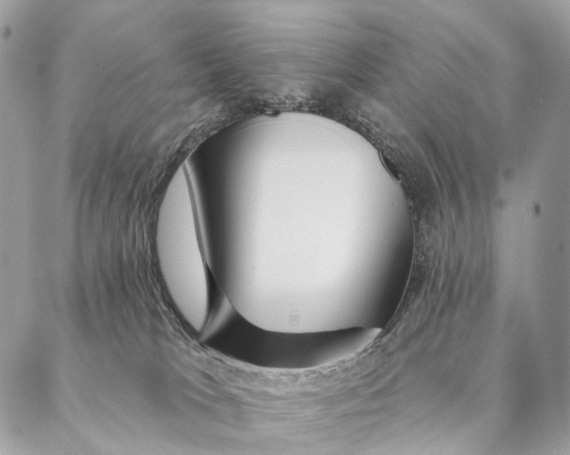 X0000087380037200705111746