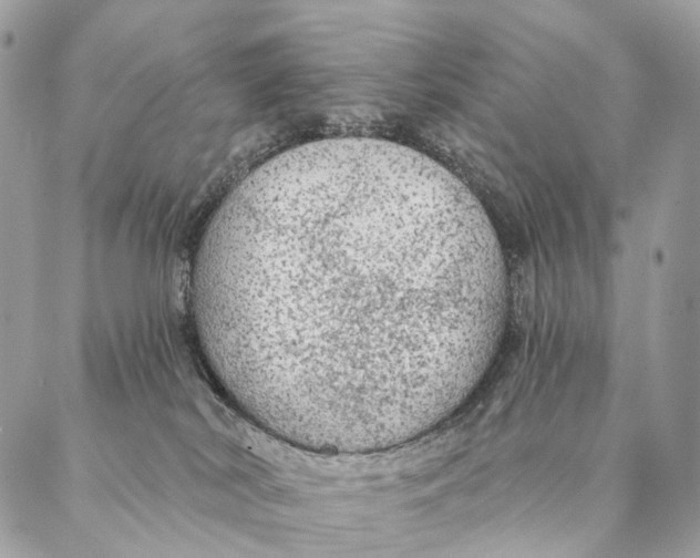 X0000087380038200705111746