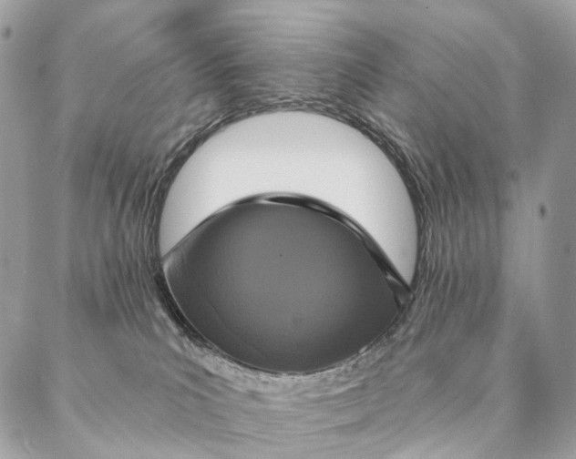 X0000087380039200705111746