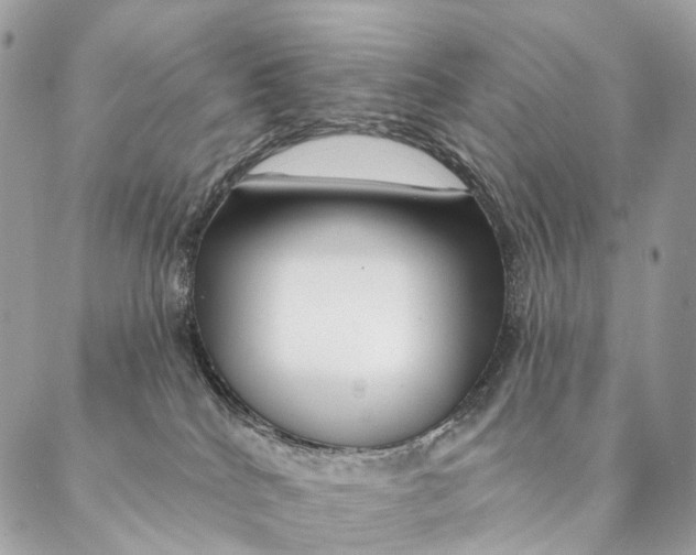 X0000087380040200705111746