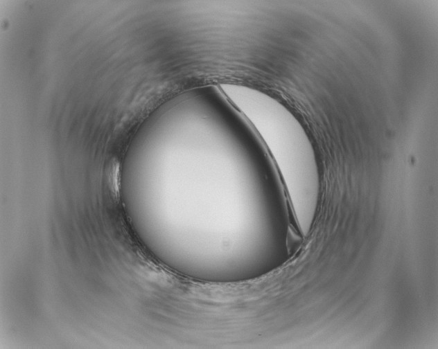 X0000087380041200705111746