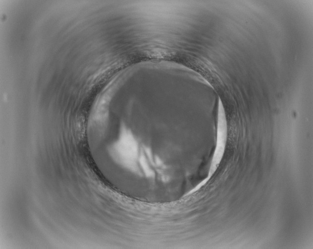 X0000087380043200705111746