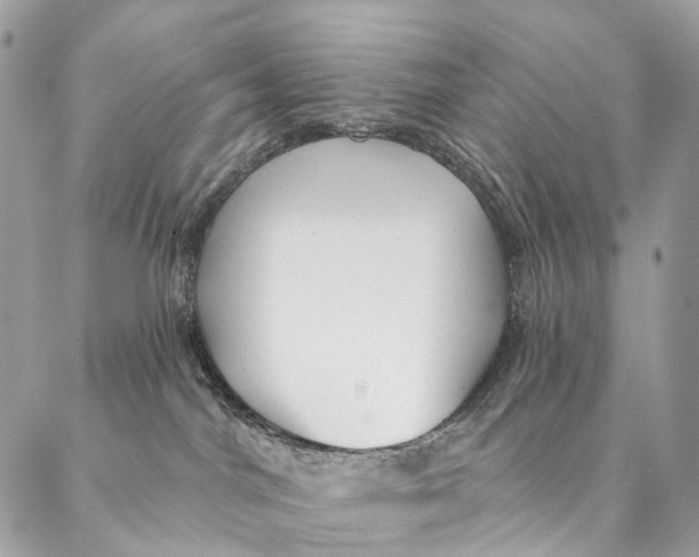 X0000087380044200705111746