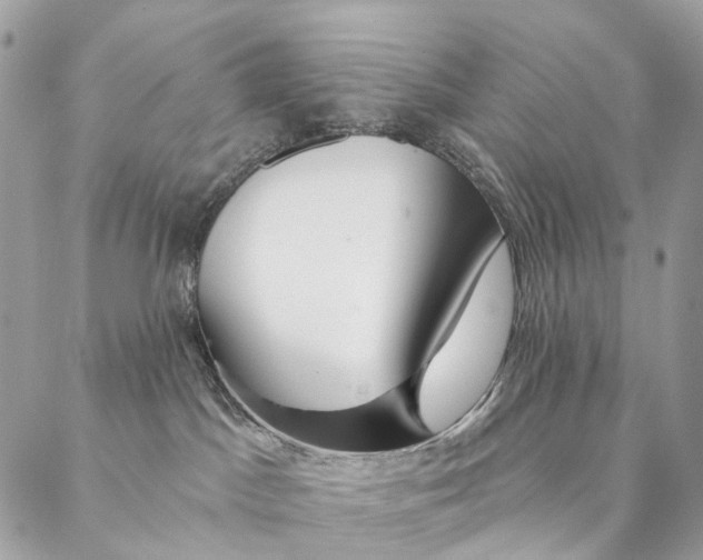 X0000087380045200705111746