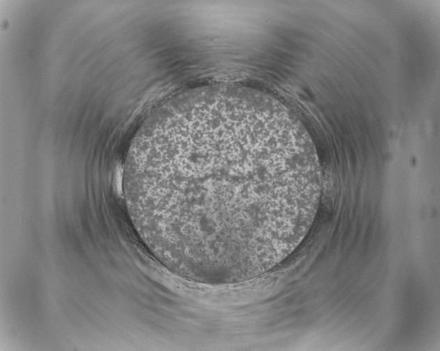 X0000087380046200705111746