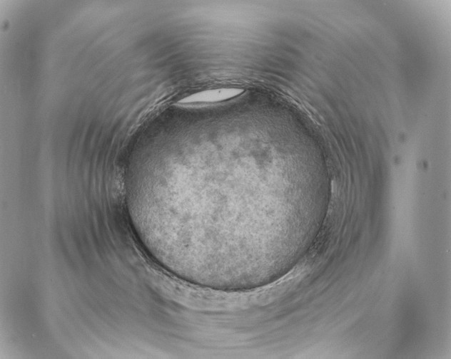 X0000087380048200705111746