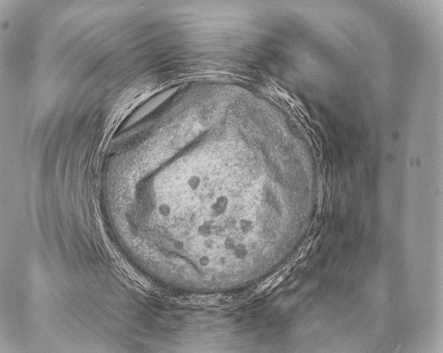 X0000087380049200705111746