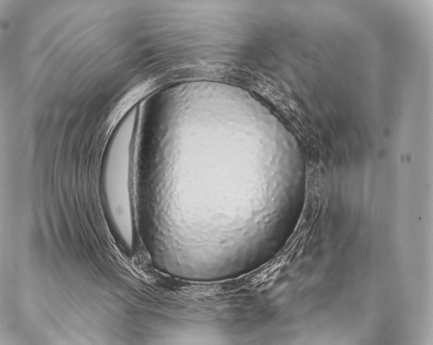 X0000087380051200705111746