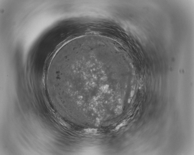 X0000087380052200705111746