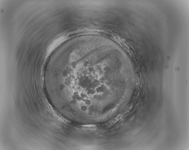 X0000087380053200705111746