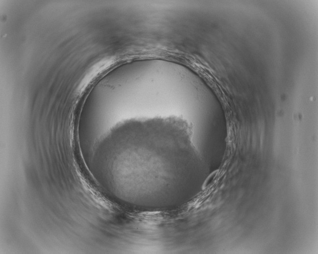 X0000087380054200705111746