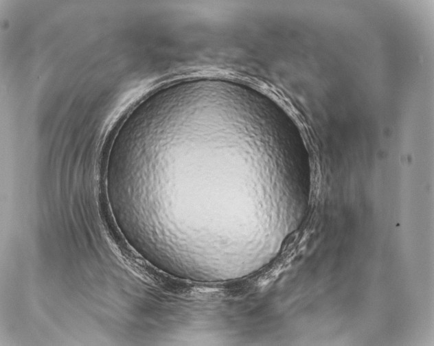 X0000087380055200705111746