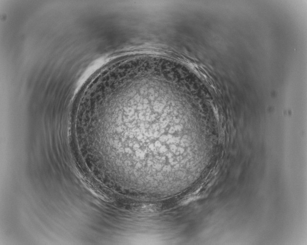 X0000087380056200705111746