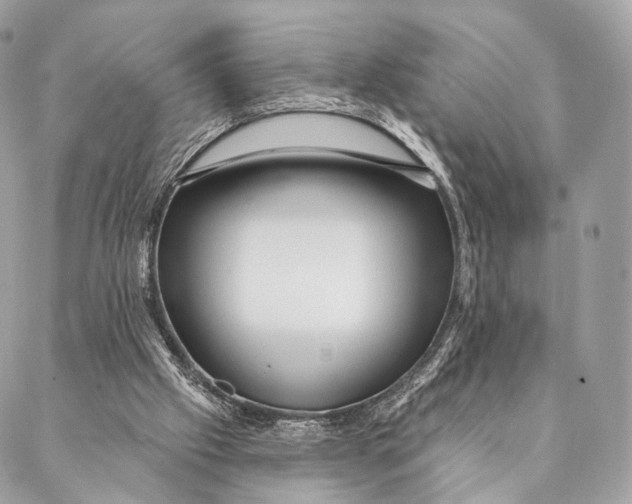 X0000087380057200705111746