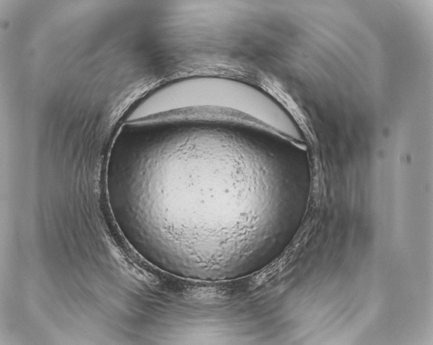 X0000087380058200705111746