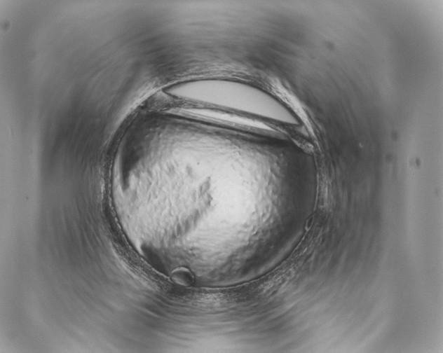 X0000087380059200705111746