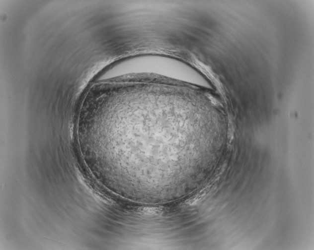 X0000087380060200705111746