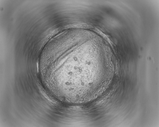 X0000087380061200705111746