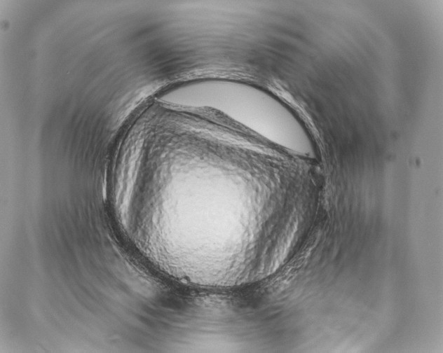 X0000087380062200705111746