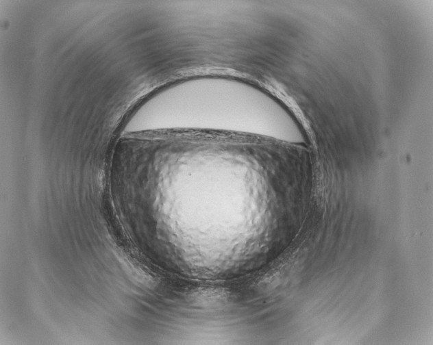 X0000087380063200705111746