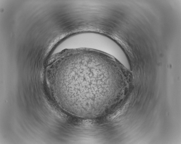 X0000087380064200705111746