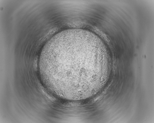 X0000087380065200705111746