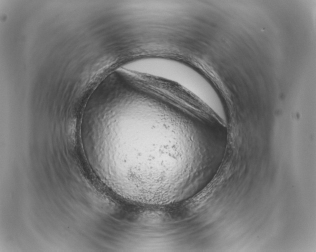 X0000087380066200705111746