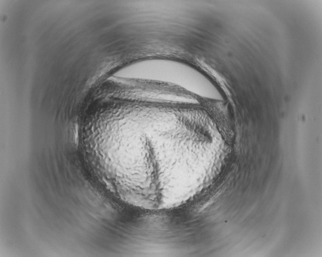 X0000087380067200705111746