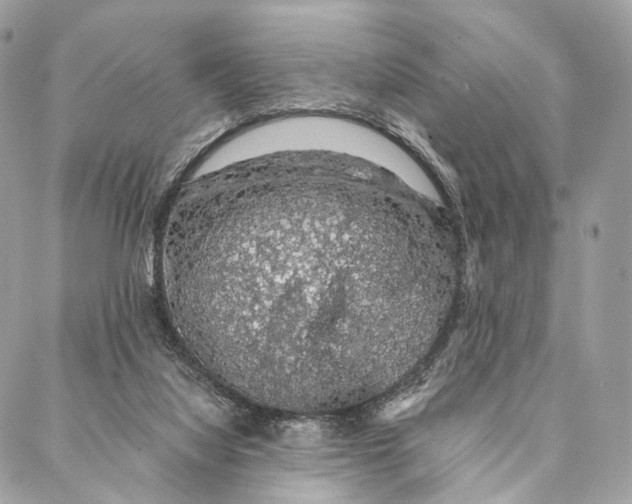 X0000087380068200705111746