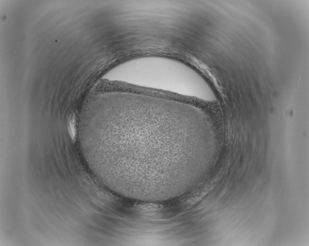 X0000087380069200705111746