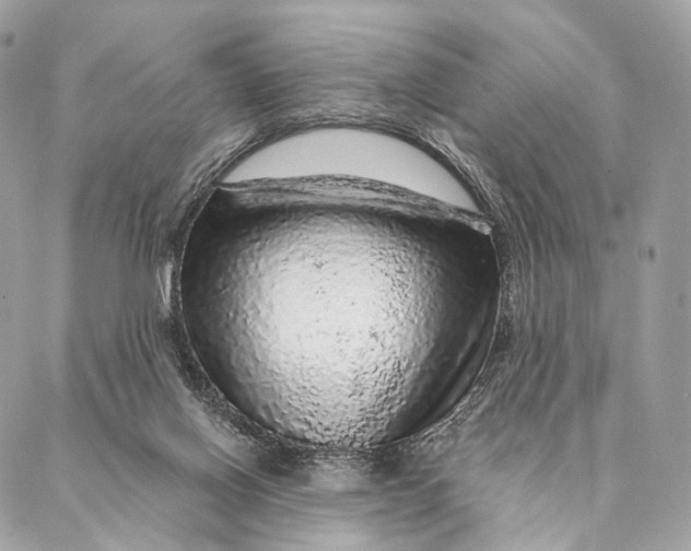 X0000087380070200705111746