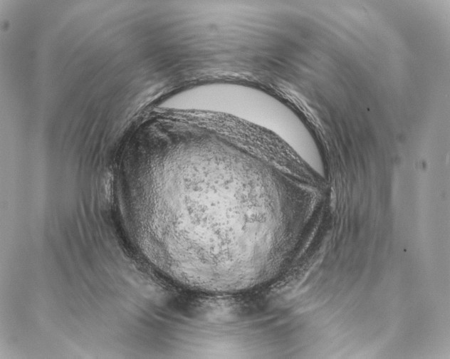 X0000087380071200705111746