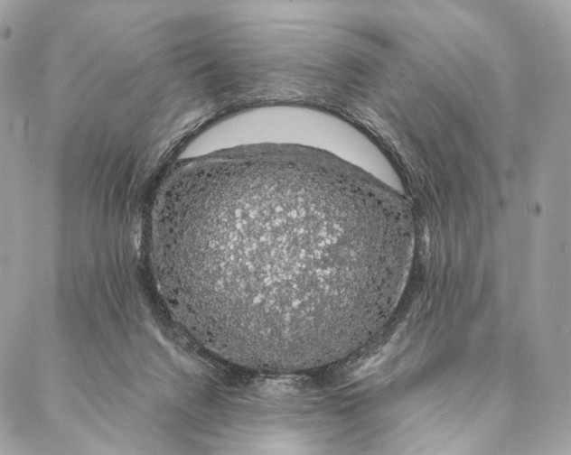 X0000087380072200705111746