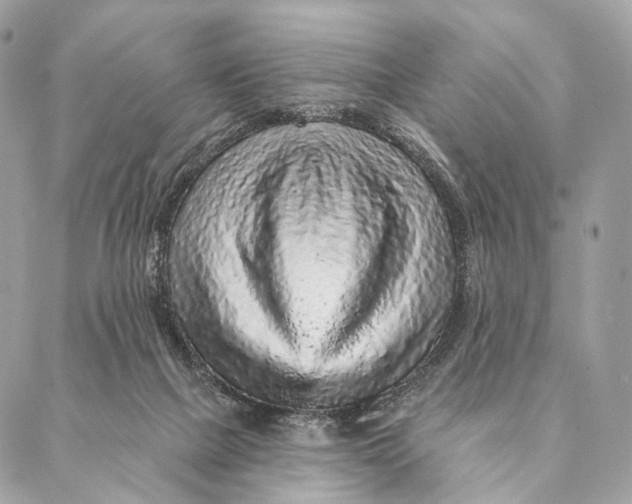 X0000087380073200705111746