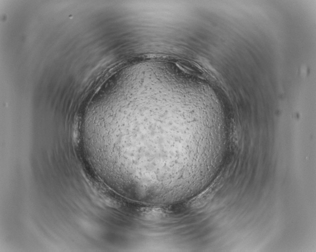 X0000087380074200705111746