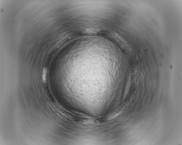 X0000087380075200705111746