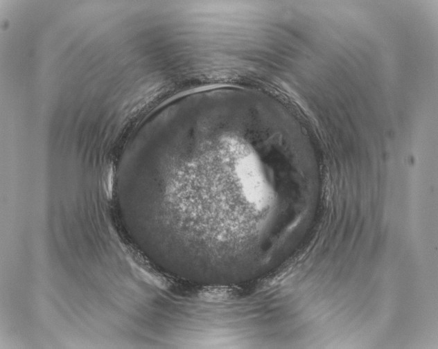 X0000087380076200705111746