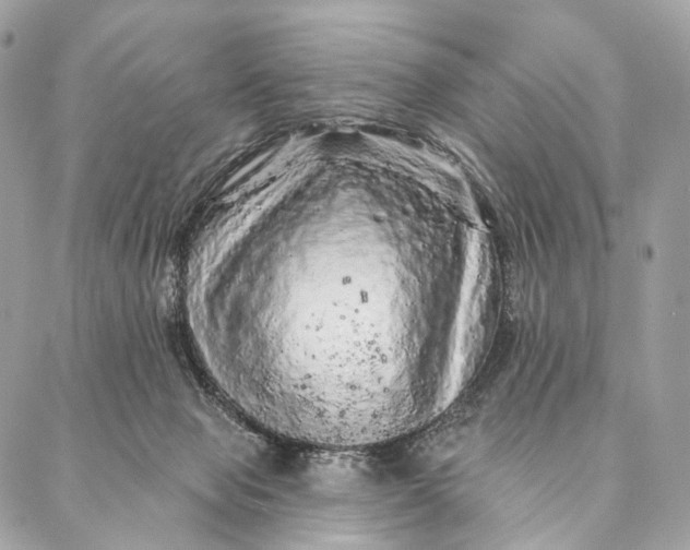 X0000087380077200705111746