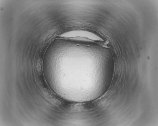 X0000087380078200705111746