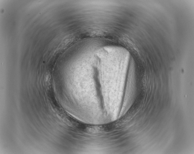 X0000087380079200705111746