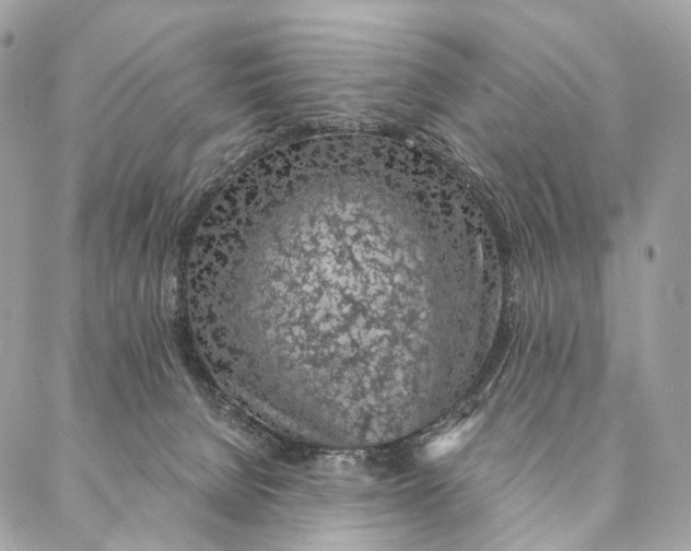 X0000087380080200705111746