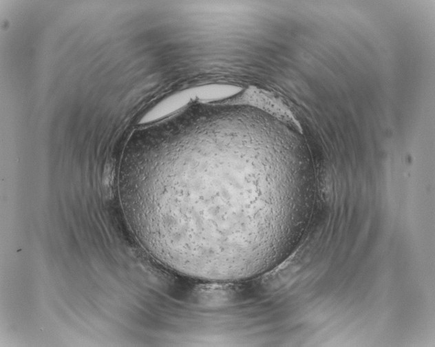 X0000087380082200705111746