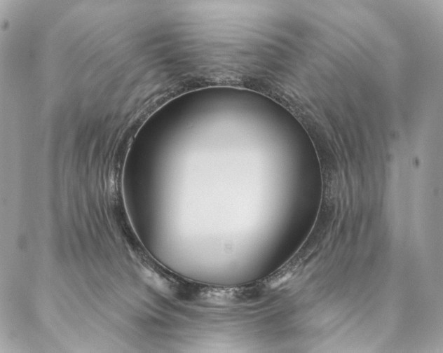 X0000087380084200705111746